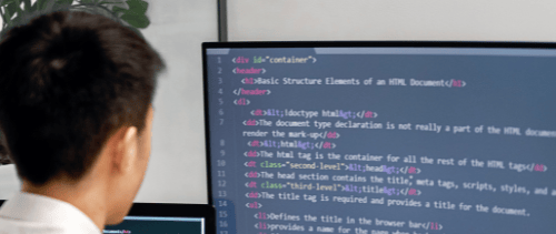 Software Development
