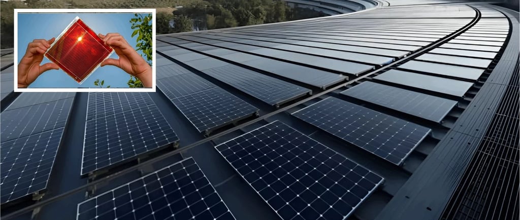 Perovskite solar cells power plant