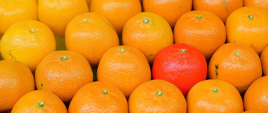 Alimentos saludables,sostenibles,nutraceuticos,eticos,personalizados,diferentes,innovación