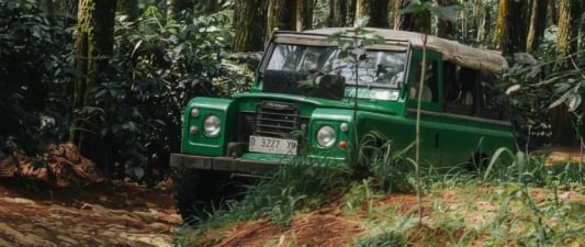 Jeep off-road hijau melintas di jalur hutan pinus yang rimbun, dikelilingi pepohonan tinggi dan semak hijau, menggambarkan su