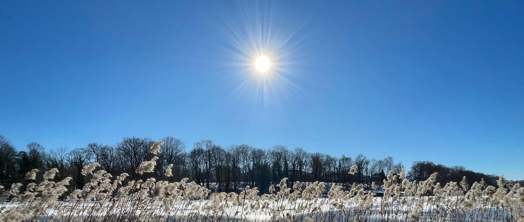 Werde still und du wirst sehen