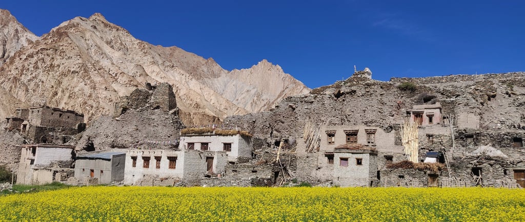 ladakh homestays sustaianble and responsible