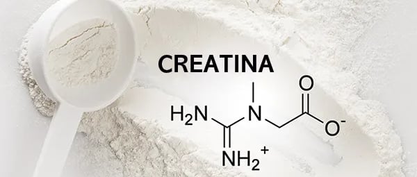 Como é Feita a Creatina