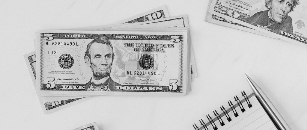 Comprar dolares un resguardo del ahorro?