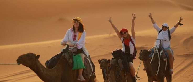 soul-of-nomads---blog---travel-guide---zagora-desert-morocco-camel