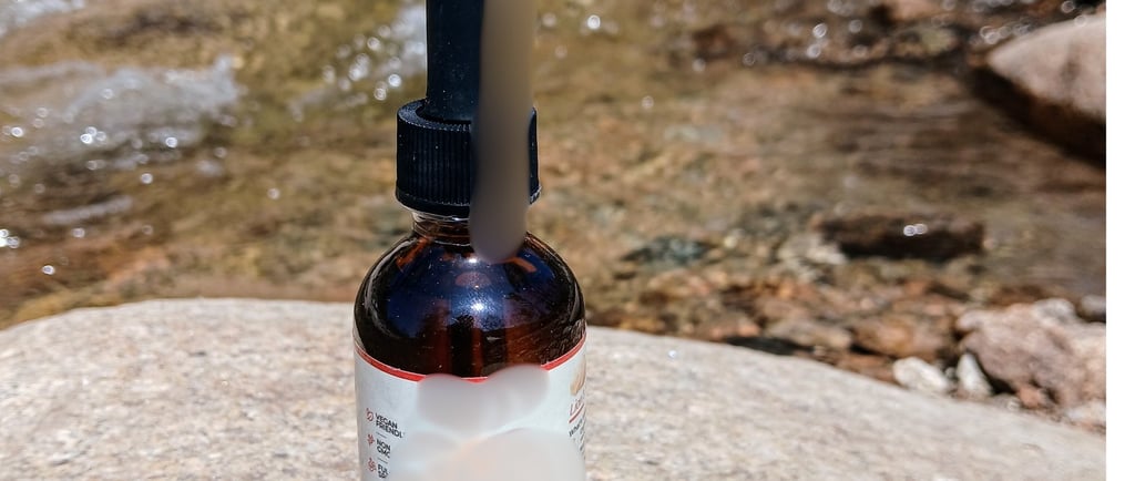 mushroom tincture bottle sitting on a rock