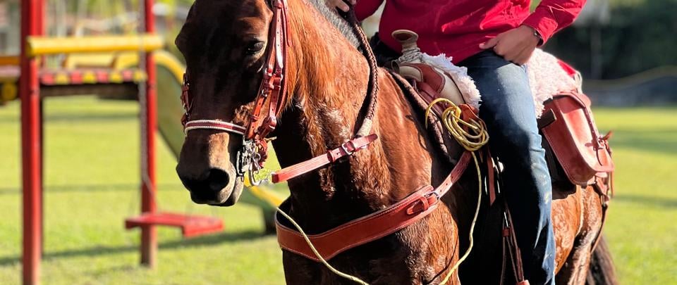 a man in a red shirt and hat riding a horse