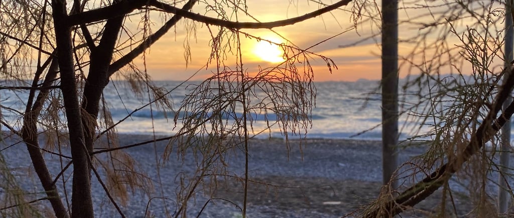 sunset in rhodes greece and some trees and beach on the background