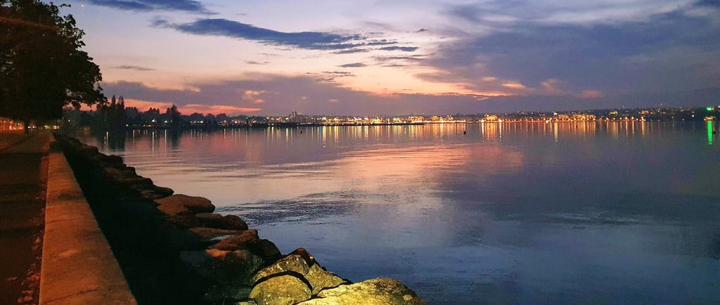 a view of a city skyline at night leman