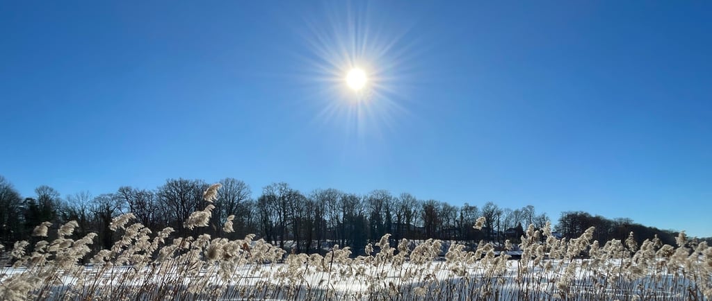 Werde still und du wirst sehen