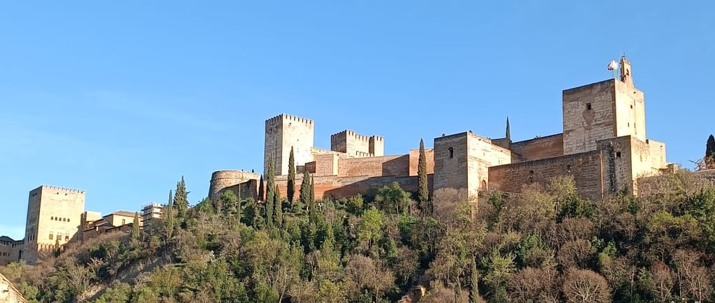 Vista panoramica dell'Alhambra a Granada