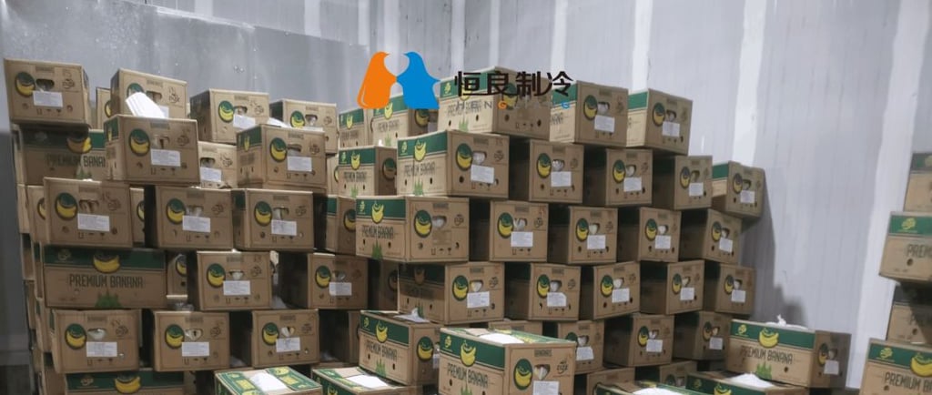 Banana cold storage room with controlled temperature and humidity