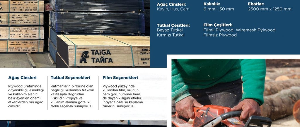 Kaliteli Plywood markaları Nelerdir? Plywood Fiyatı