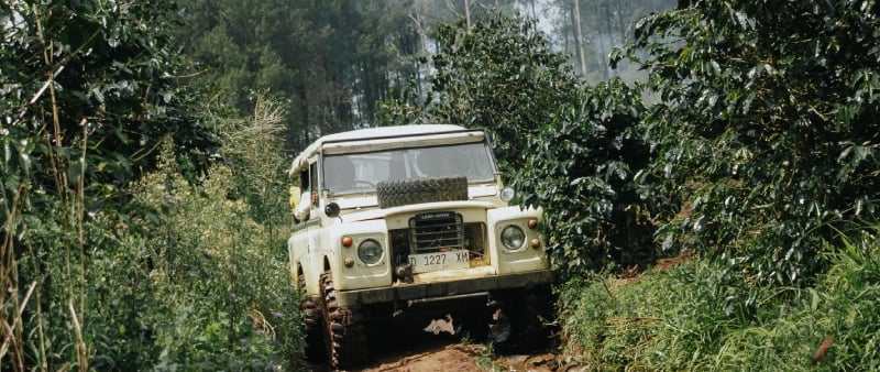 Offroad Land Rover Series III putih di jalur berlumpur berbatu di Pangalengan, dikelilingi oleh perkebunan hijau dan hutan pi