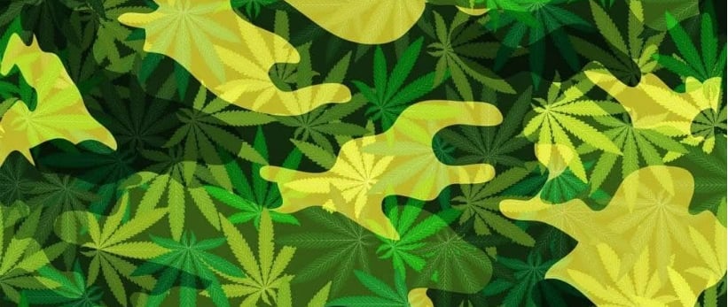 a camouflage camo pattern of marijuana marijuana leaf