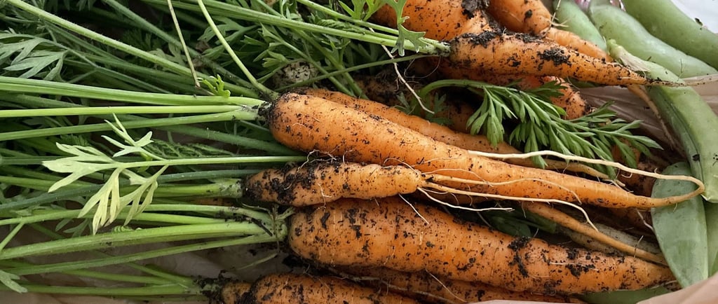 Overcome gardening challenges and grow a bountiful harvest.
