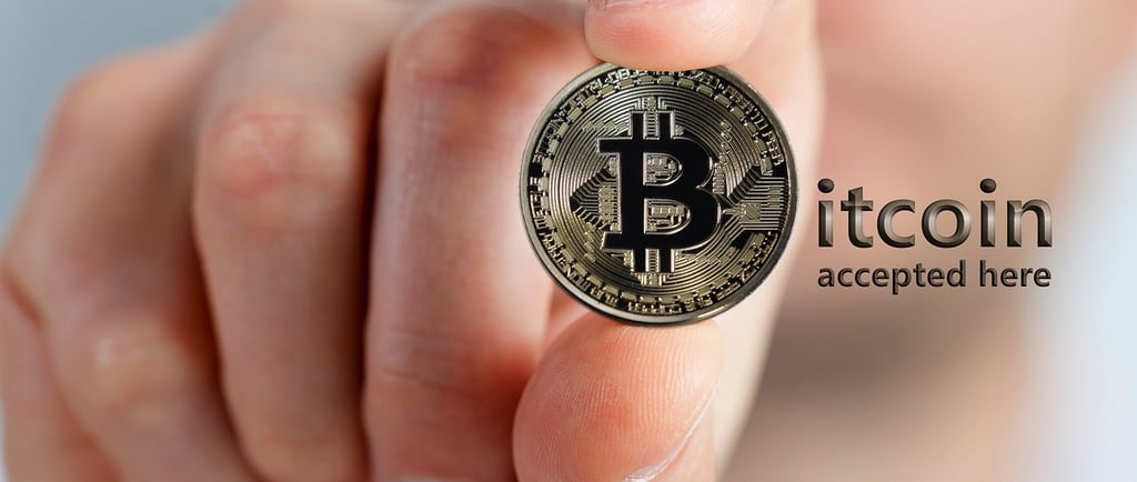 a person holding a bitcoin coin