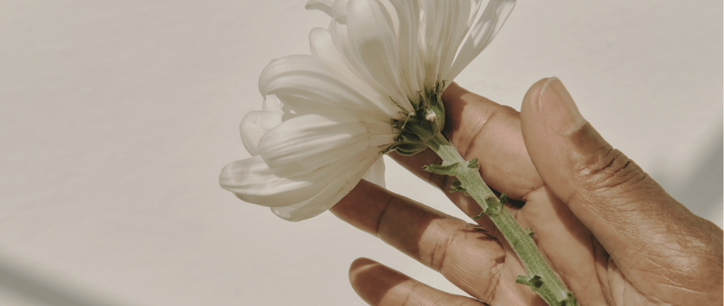 a person's hand holding a flower