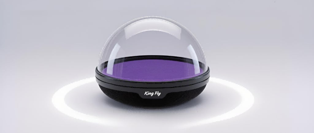 Futuristic purple dome cosmetic case, the "Observatory" GWP by King Fly.