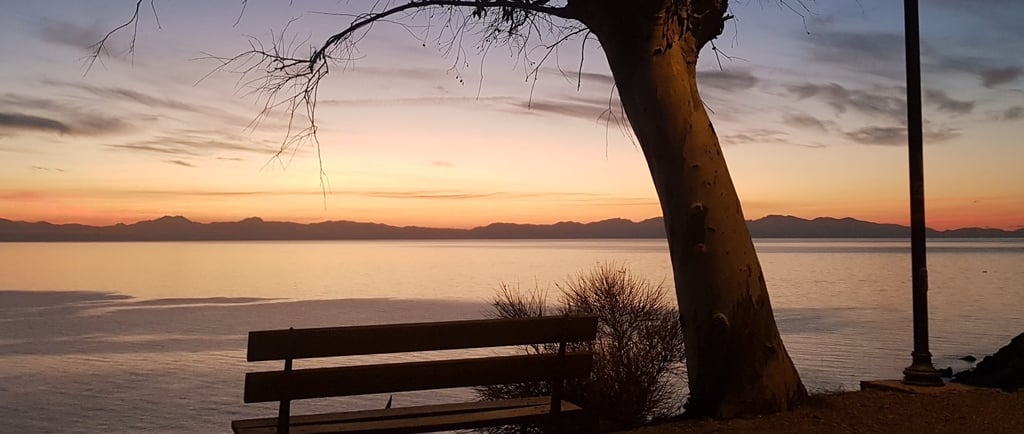 a bench with a bench and a bench in the foreground
