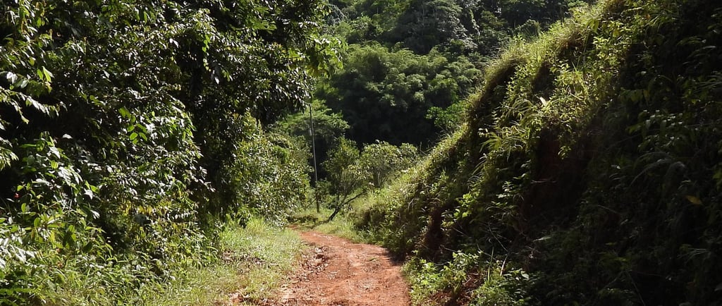 a mountain path in Costa Rica