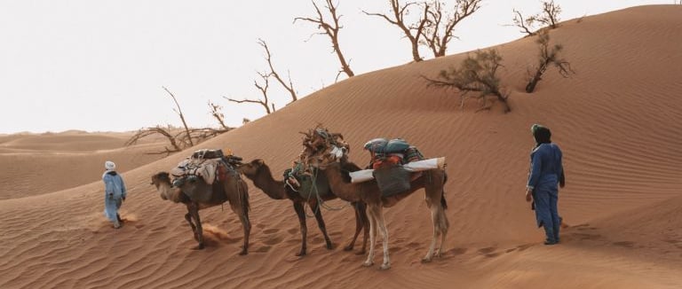 trekking in chigaga desert zagora - soul of nomads