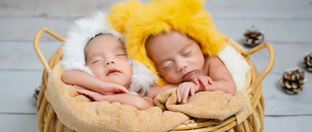 Newborn Photography twins together in bucket