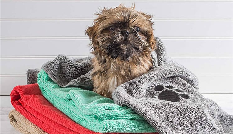  Microfiber Cloths for pet care, dogs, cats