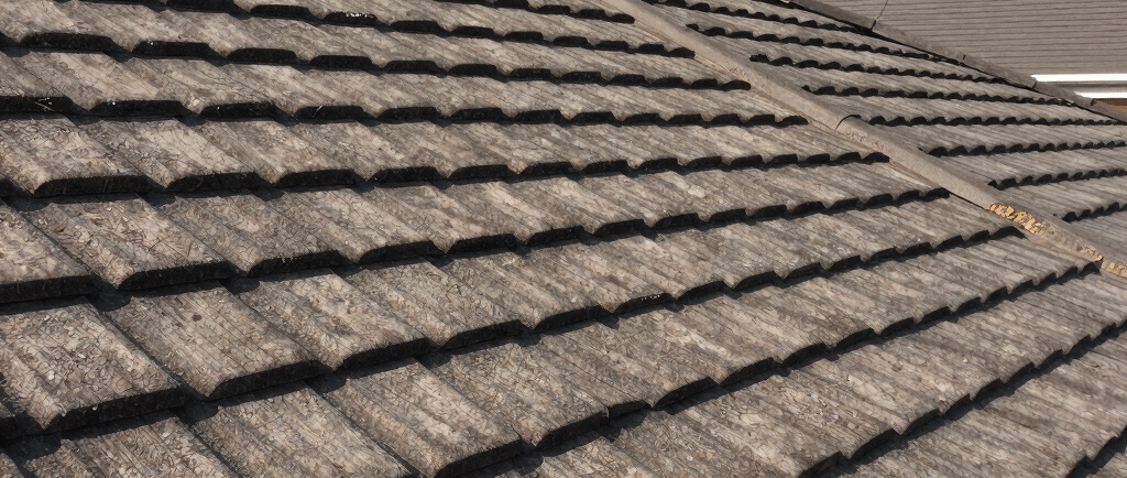 a label on a green shirt that says today