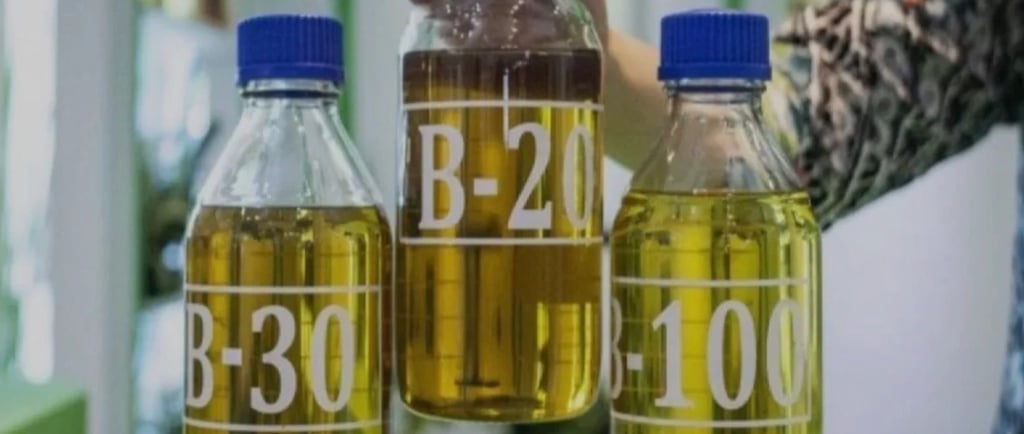 a person holding a bottle of oil in front of a table