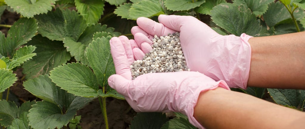 การใส่ปุ๋ยให้พืช