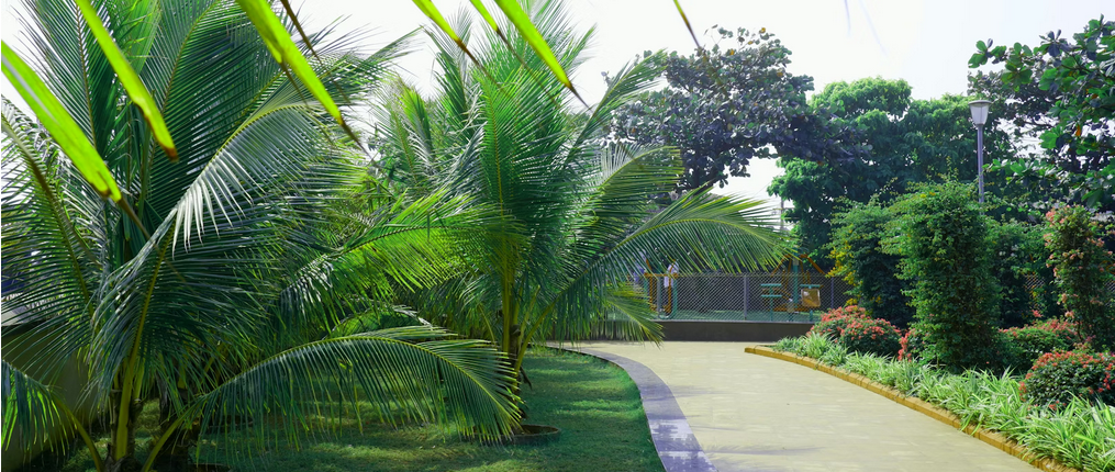 Public Park with tropical trees