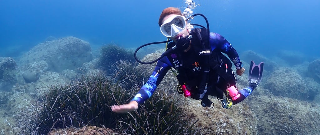 la importancia de preservar los océanos