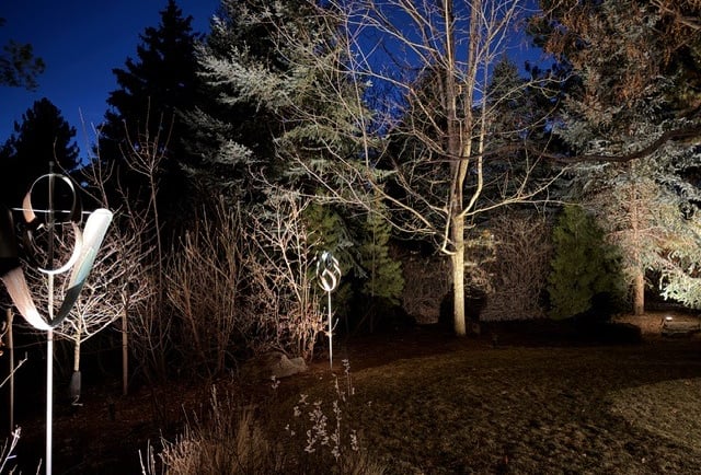 Nighttime landscape with illuminated trees and modern outdoor sculptures in a dark forest setting.