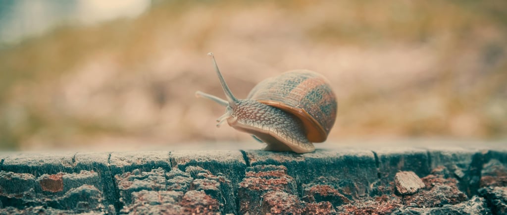 `How Poor Incident Response Coordination Multiplies Breach Costs