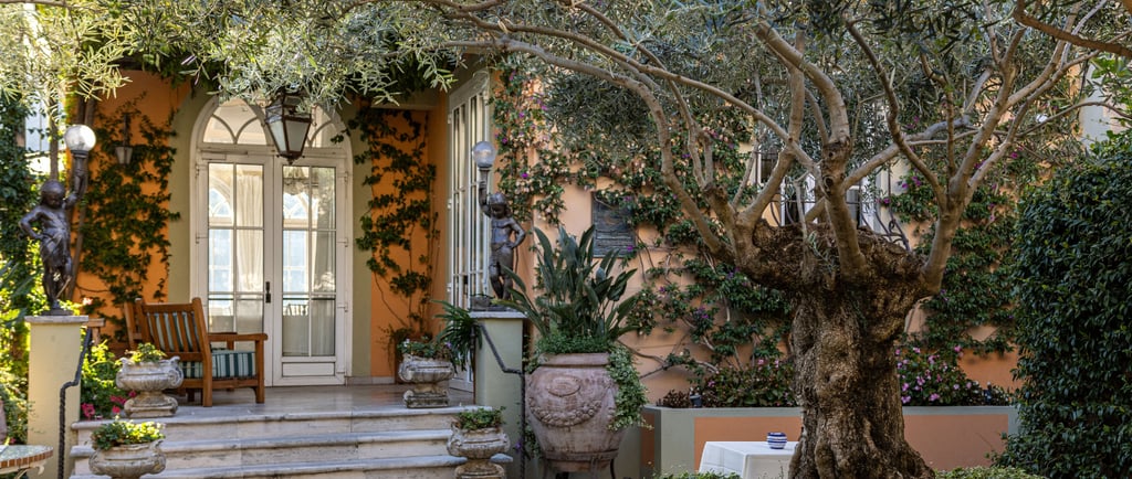 Mediterranean Garden