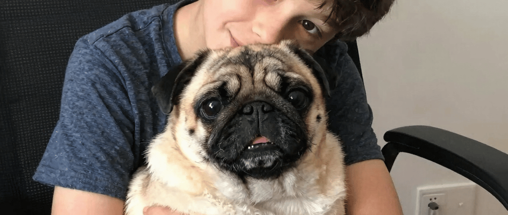 A boy hugs a small dog in a chair.