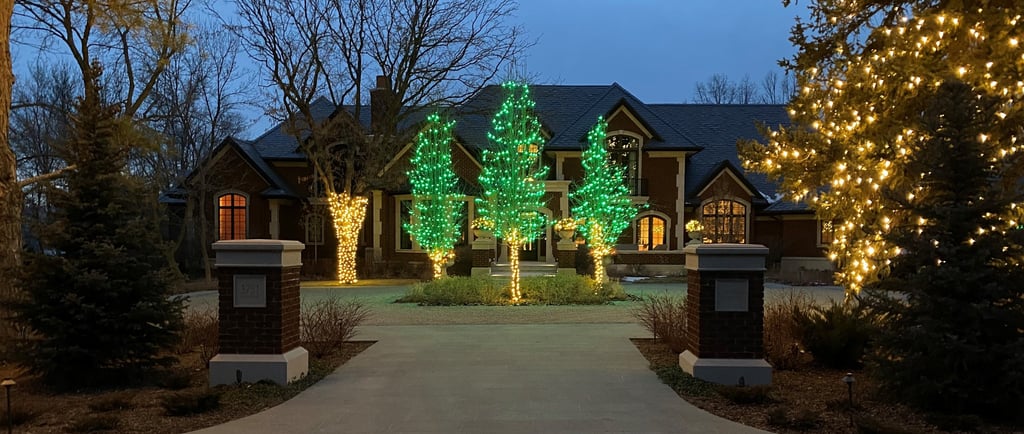 Christmas Lights on trees in Colorado