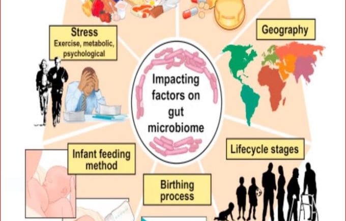 Lees wat de invloed van je microbioom is
