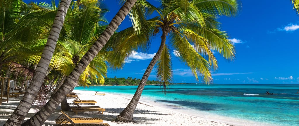 saona island