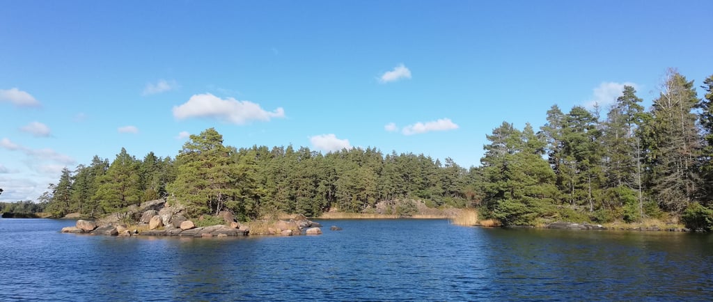 lac et forets suédoise. beau lac parfait pour pêcher le brochet en suède