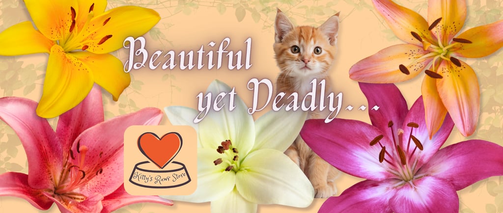 Lilies - beautiful, yet deadly. A look into why and how these lovely plants can be deadly by Kitty's Rawr Store
