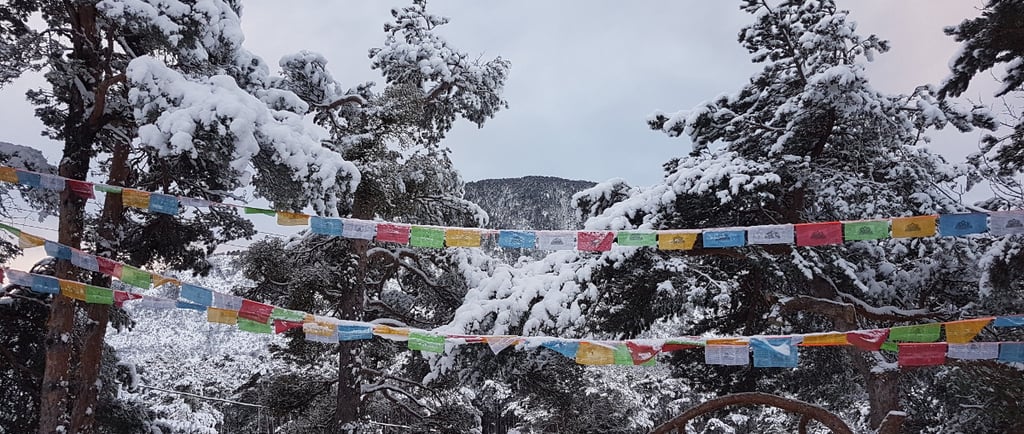 Centre méditation sous la neige