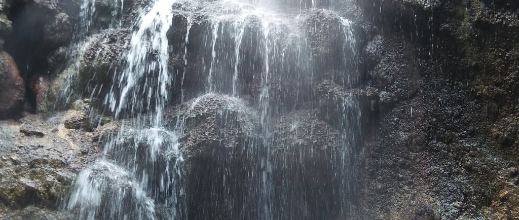 Exploring Surabaya's Hidden Gem: A 4-Day Private Tour to Tumpaksewu, Bromo, Ijen, and Ketapang Harbo