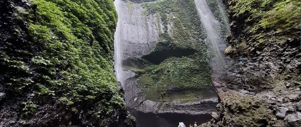 Surabaya Malang Bromo Madakaripura Surabaya  Day 1 - Arrive SUB at 12.40 (QZ 387) - Visit to Transpo