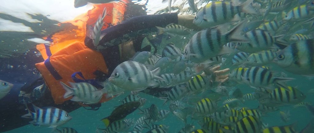 Snorkling Gili Nanggu