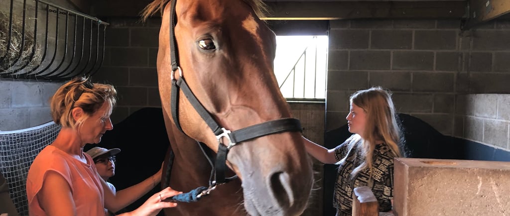 hypothérapie à Namur