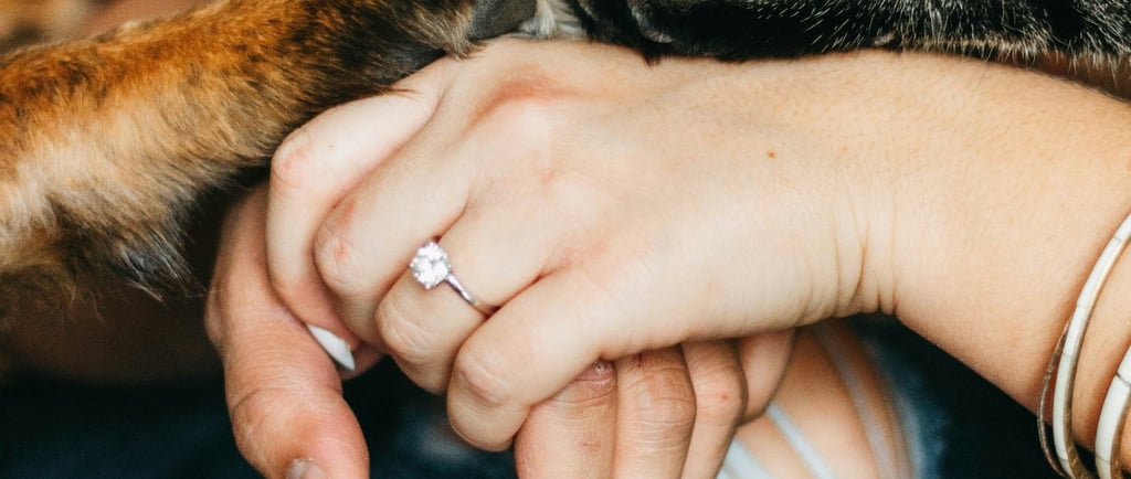 Combien de séances de zoothérapie sont nécessaires