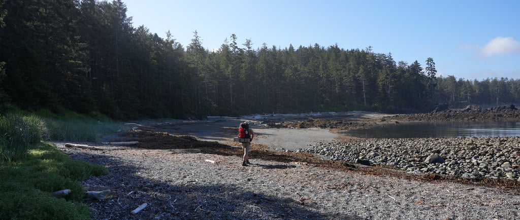 a person walking on a beach next to a body of water