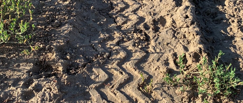 Zig-zag tire tracks imprinted in brown dirt